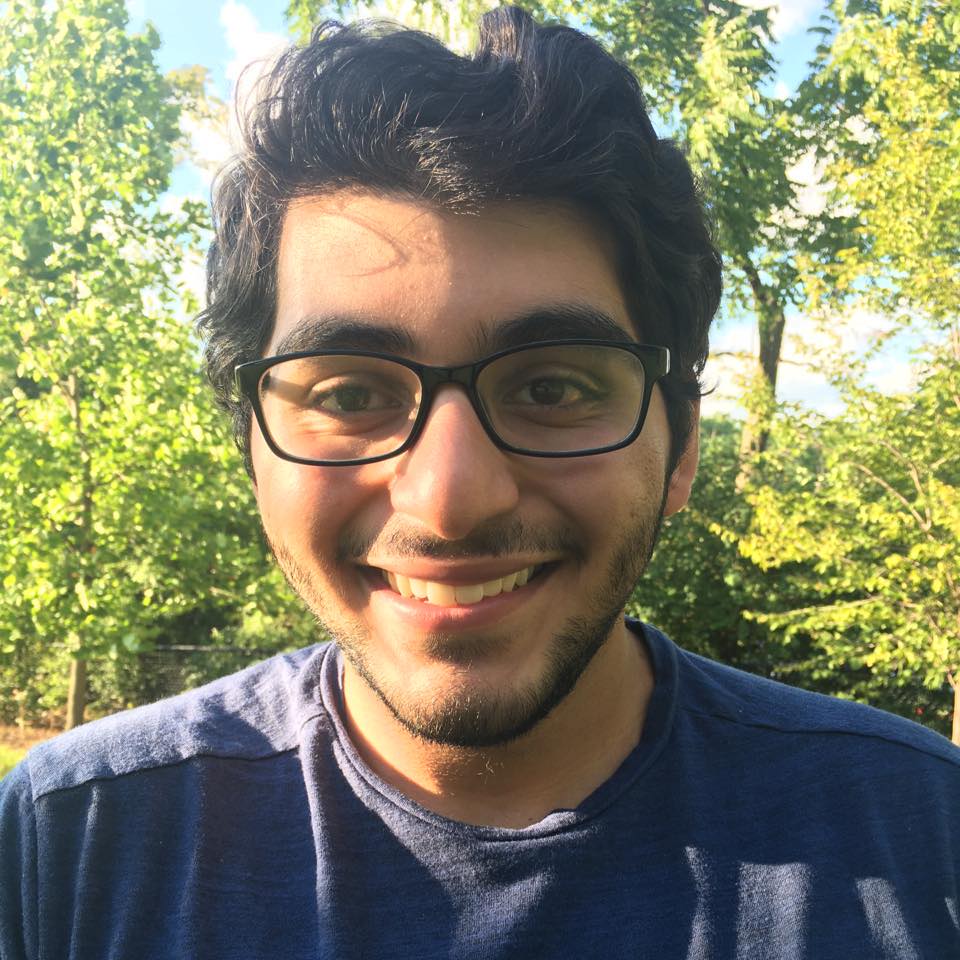 Salman Ali