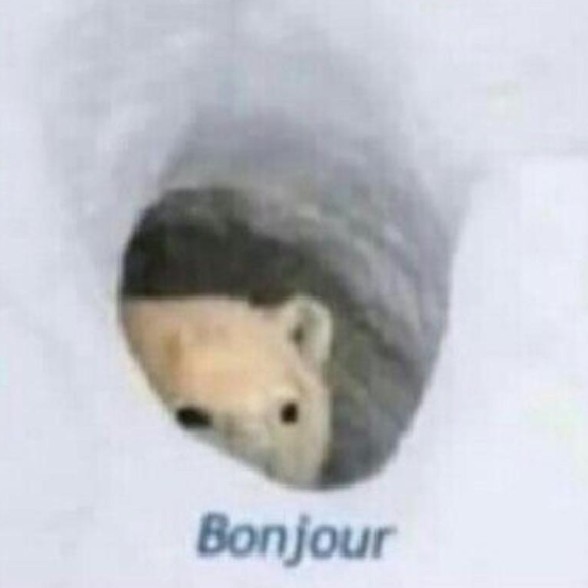 Breton Fiander
