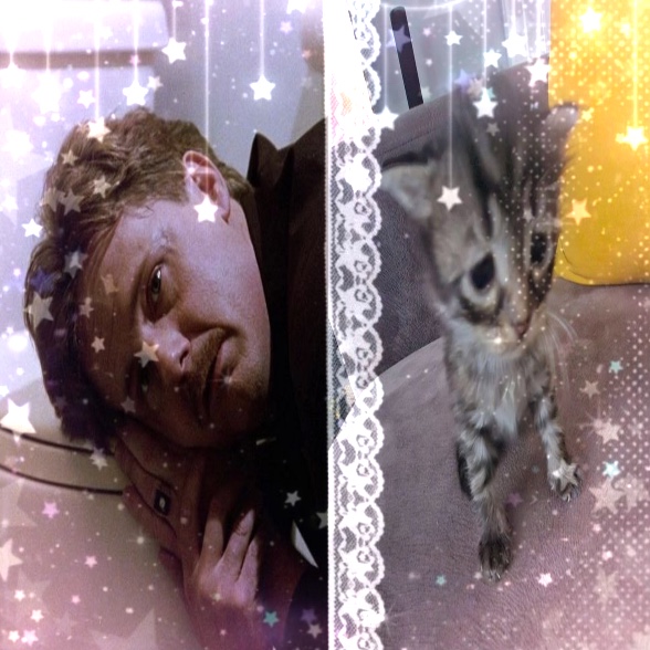 star oenis