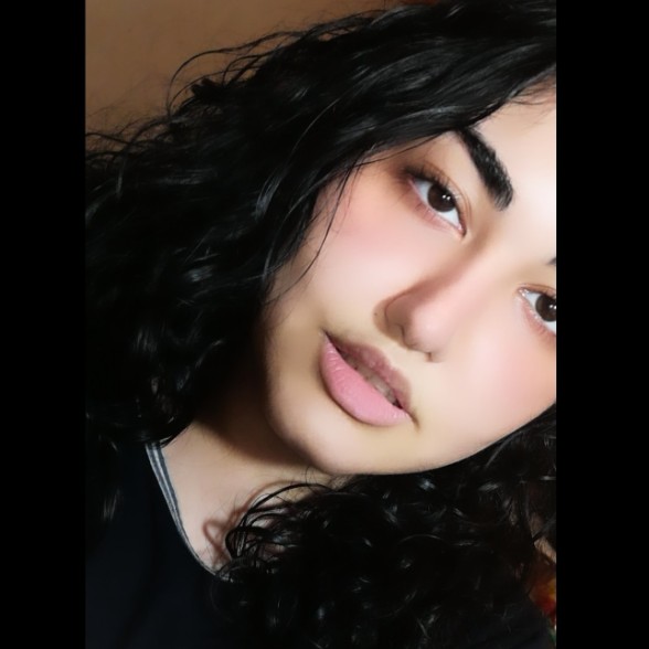Sheyda Mirzaie