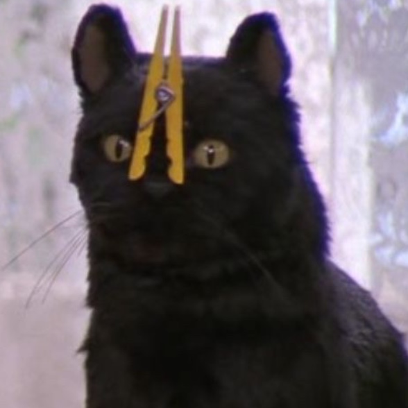 bigstinkykitty