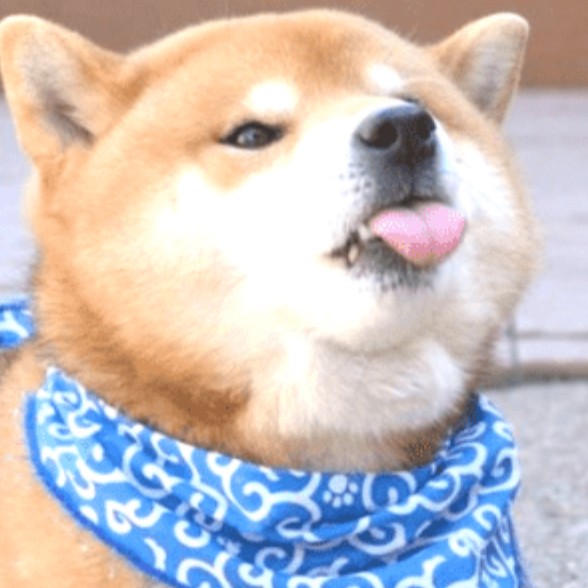 Dooby Doo