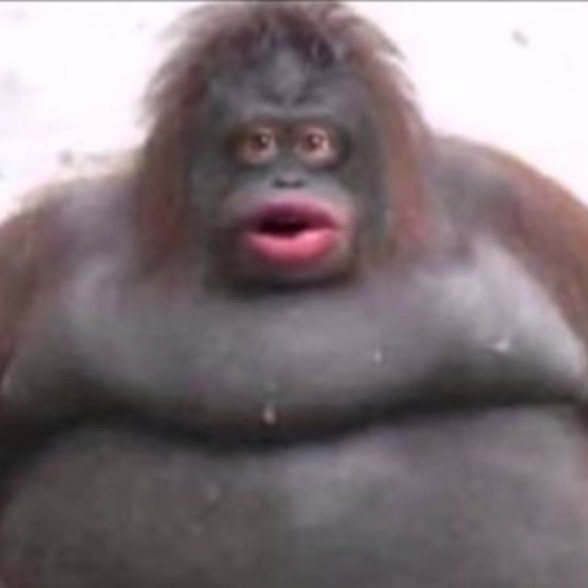 mfgoode