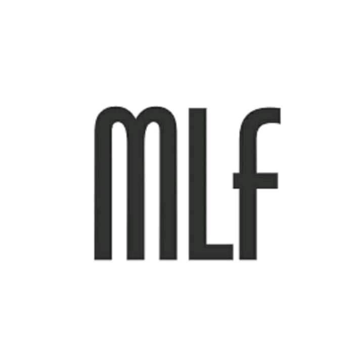 Muhammad Luthfi Fauzi