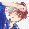 Shoto Todoroki