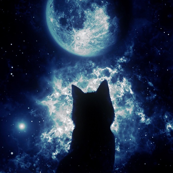 cateline