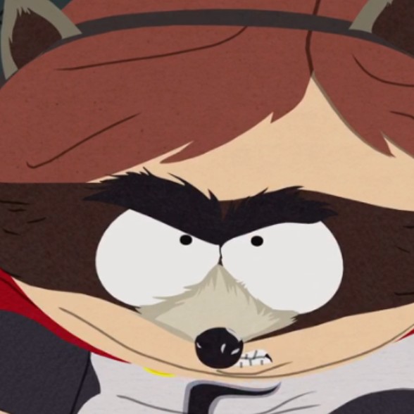 raccoonfan20