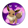 Eevee Evoulton Nikki