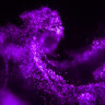 m s