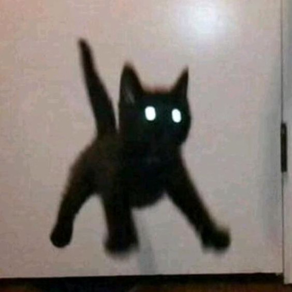 v :)