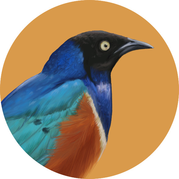 Grim Starling