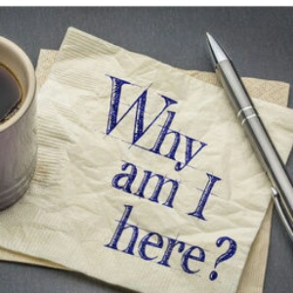 whyamihere2
