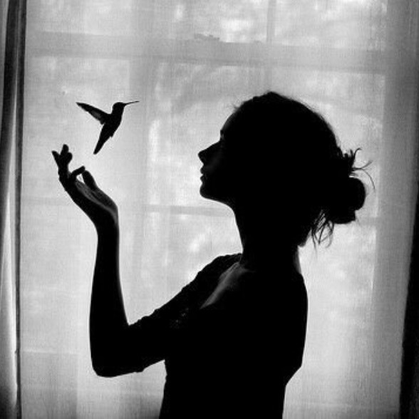 lostindaydreams